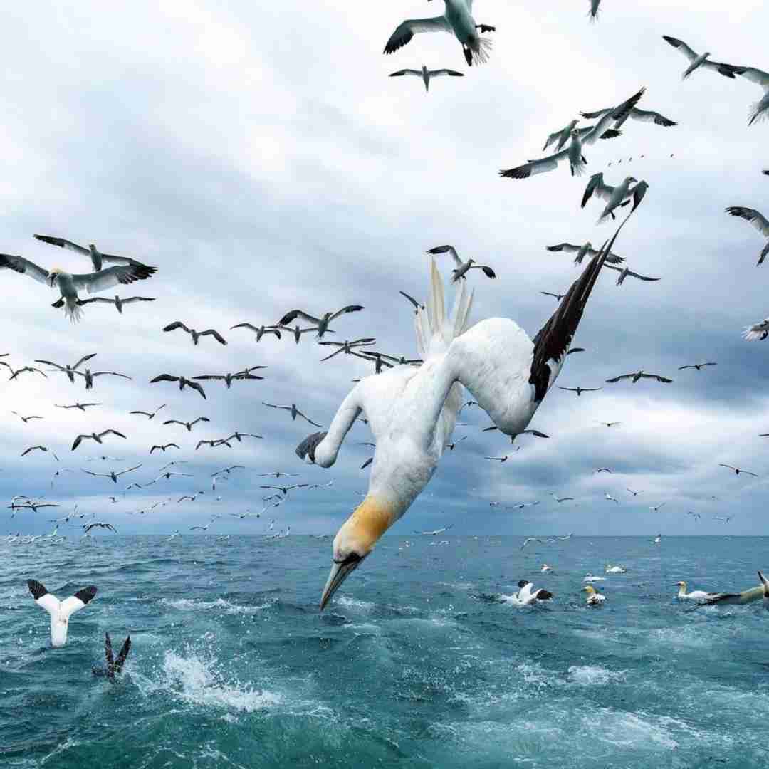  چقده ترسناکه این روزا عجیب غریبه با صدای دختر