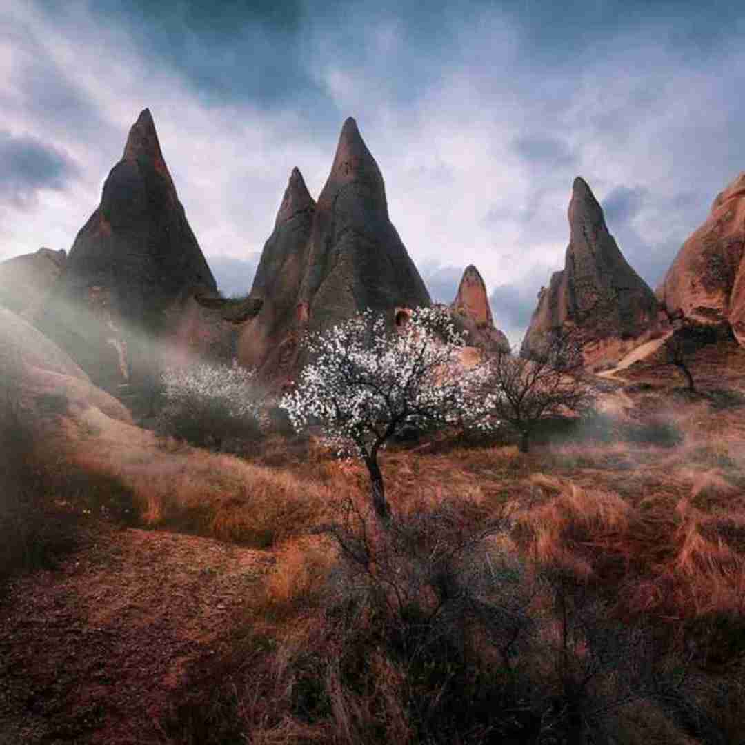  با تو جوزی نبودم تو چتیام اگه هنو دوسم داری بگیا