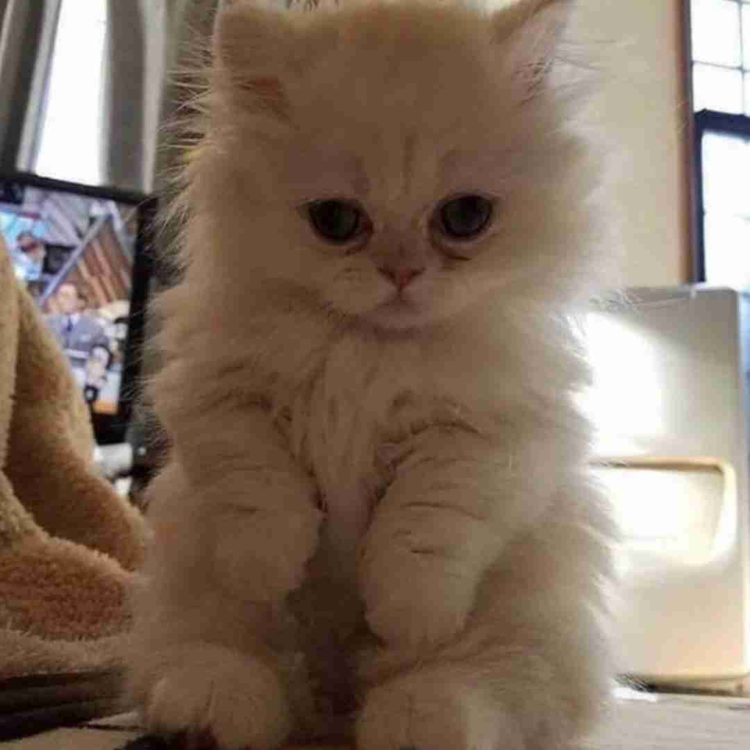 آخه چقد لامصبی این همه وقت نشناخمت