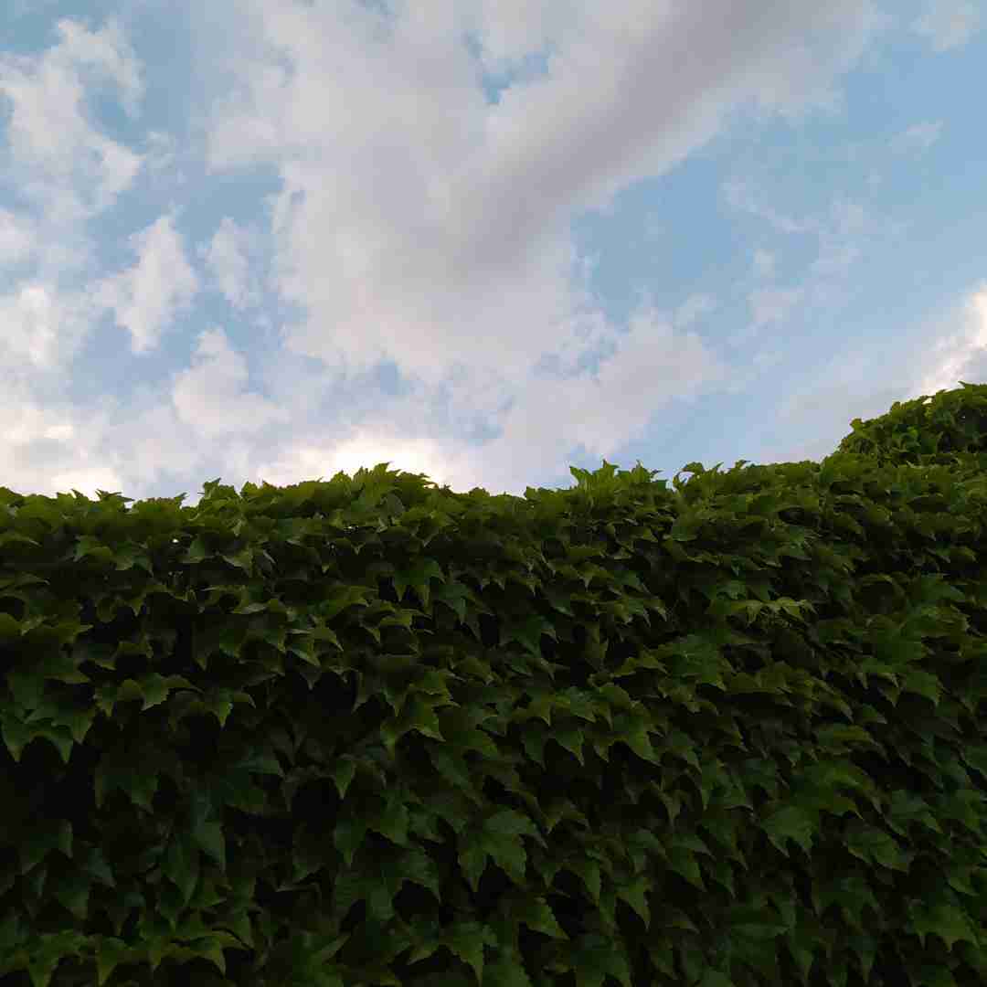 میاره دوتا پیک جلو روم و هی میگه سلام
