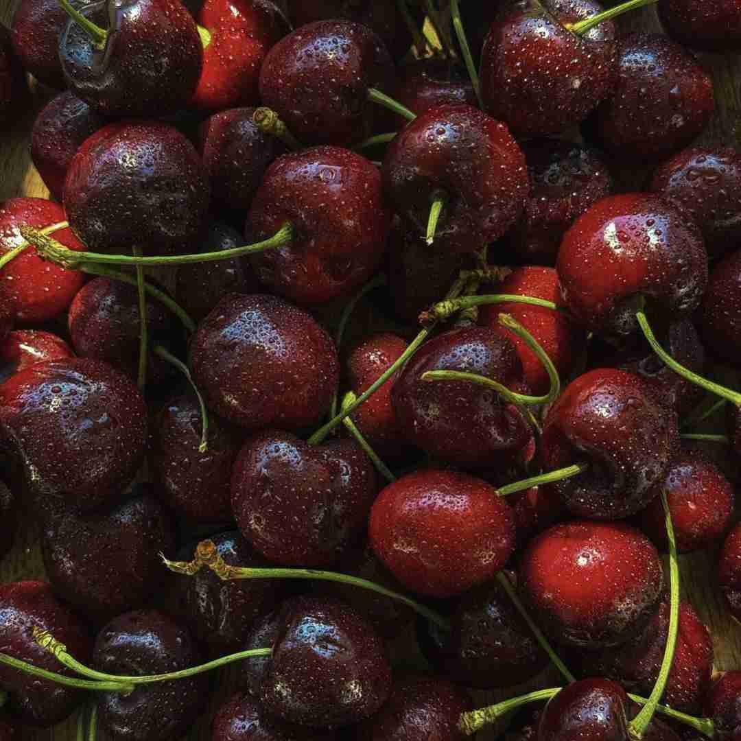  کفتر کاکل به سر وای وای – ترند اینستا