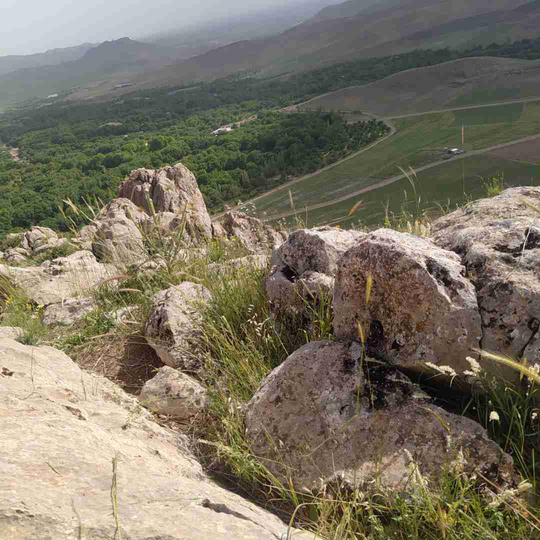 باختو ببینن تو چشمام زشته چون سرد شدن