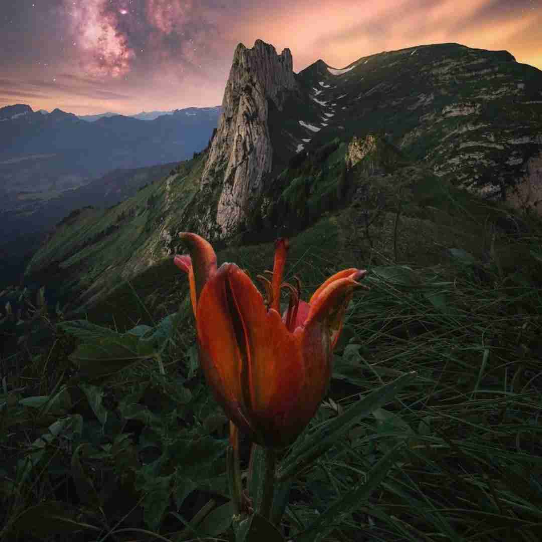  عطسه میکنم بم میگه مسریه میگم کوک زدم میگه کوک چیه