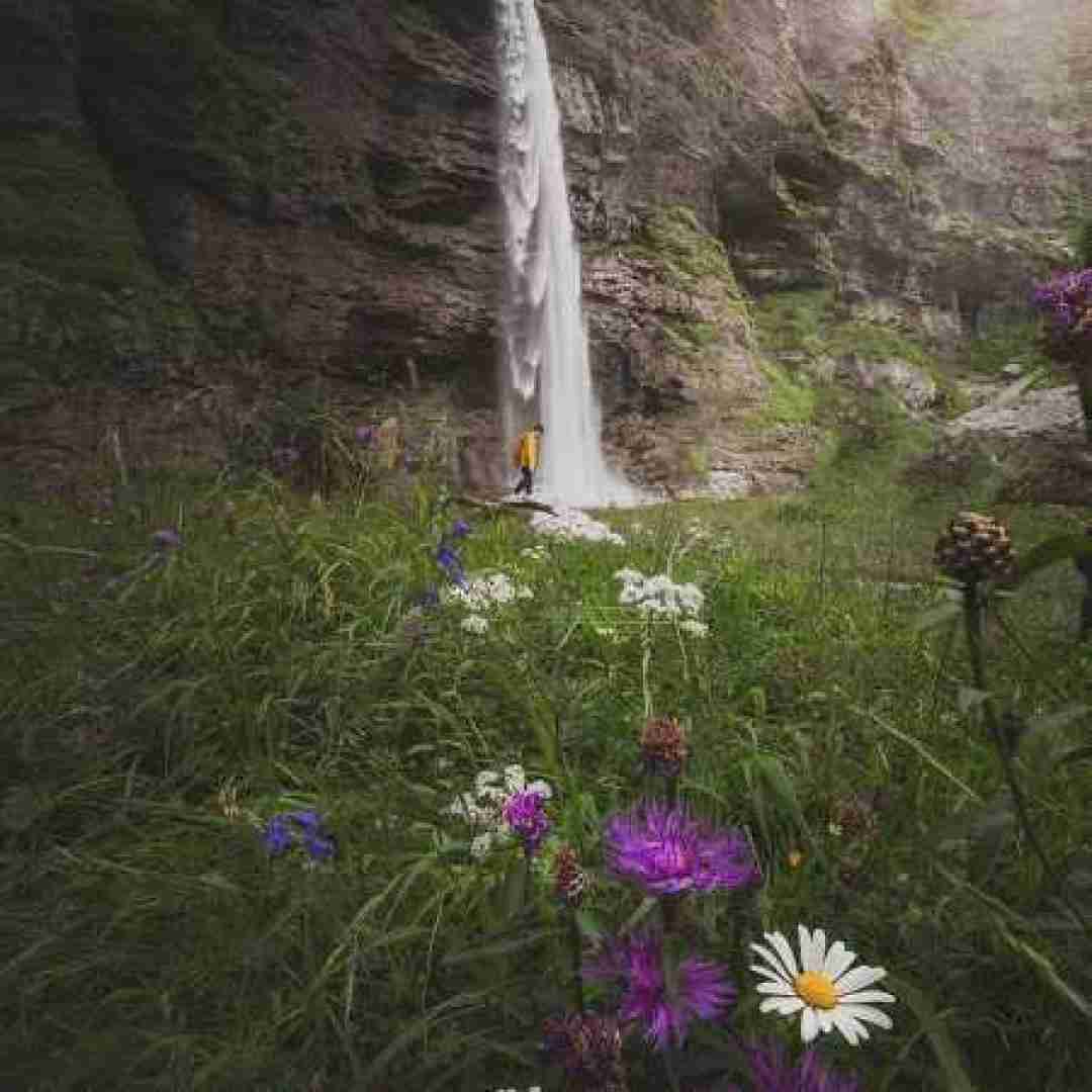  ولی تو با قیافم چیکار کردیا – ترند