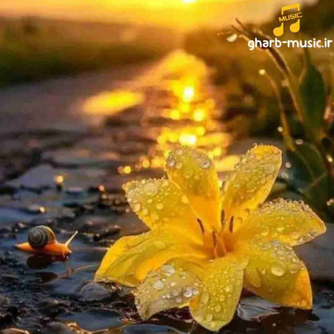  یه روز دوتایی از دست همشون در میریم