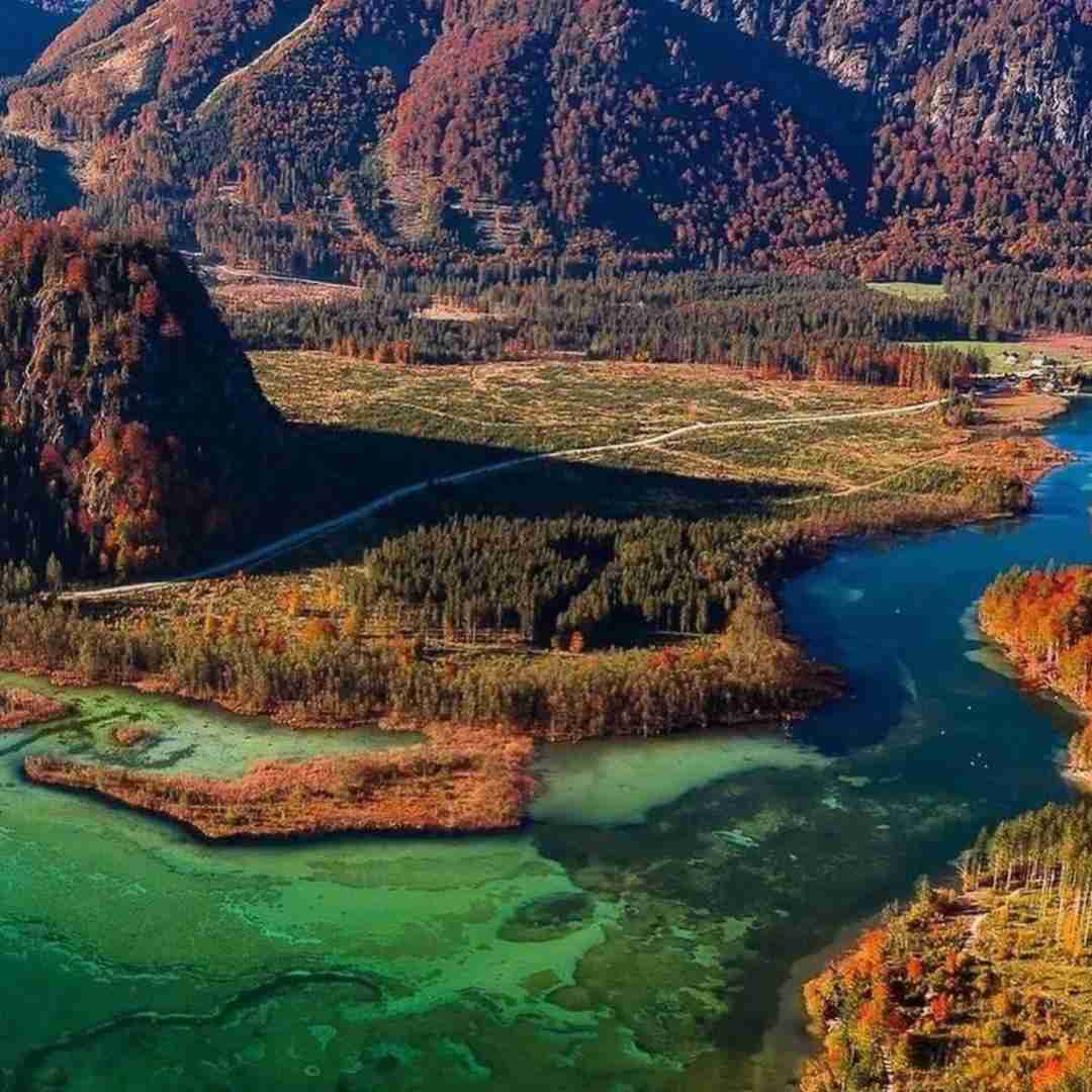  سایه سر هوش مصنوعی