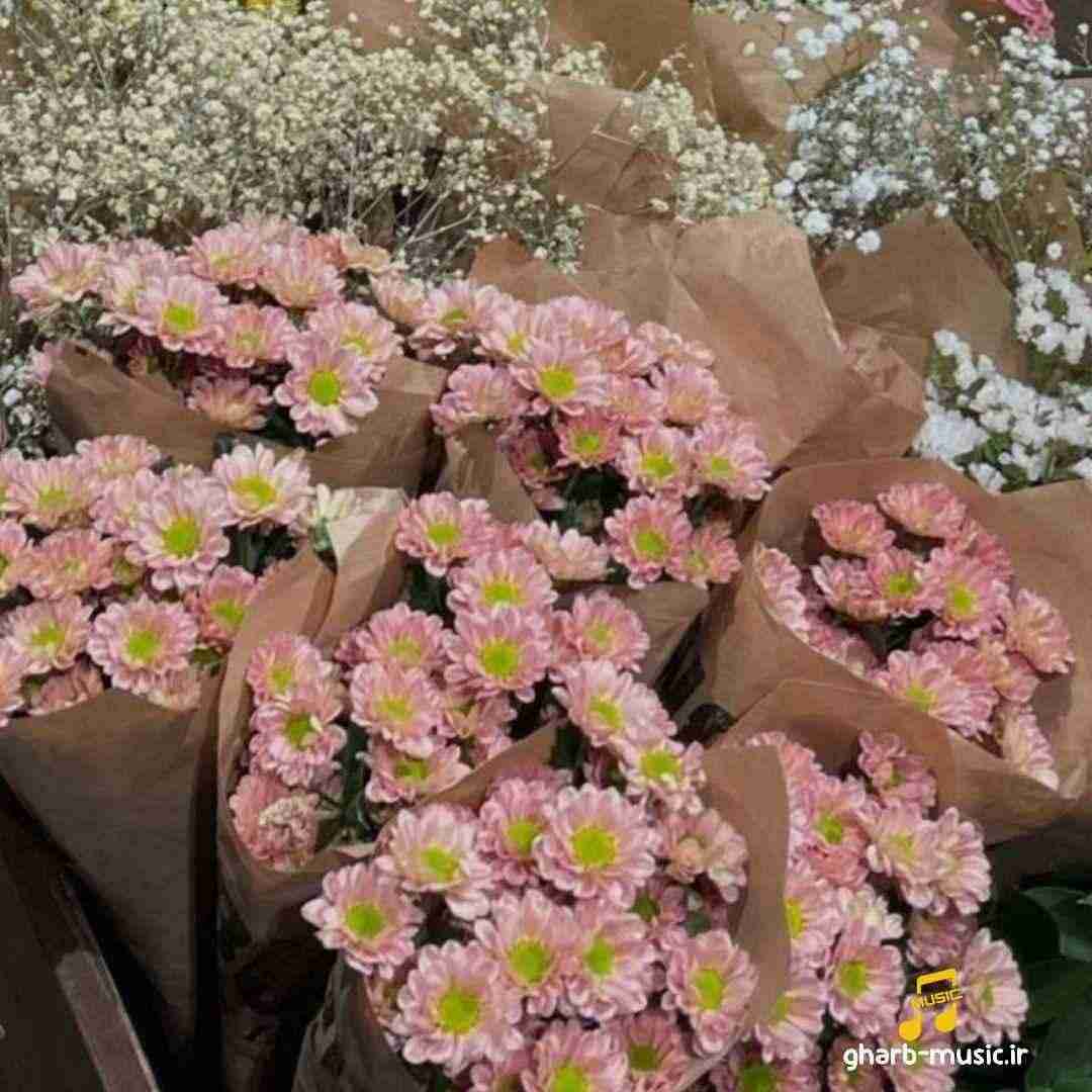  هی ببین خودمو زدم به دیوونگی هی ببین دنیا ایستاده