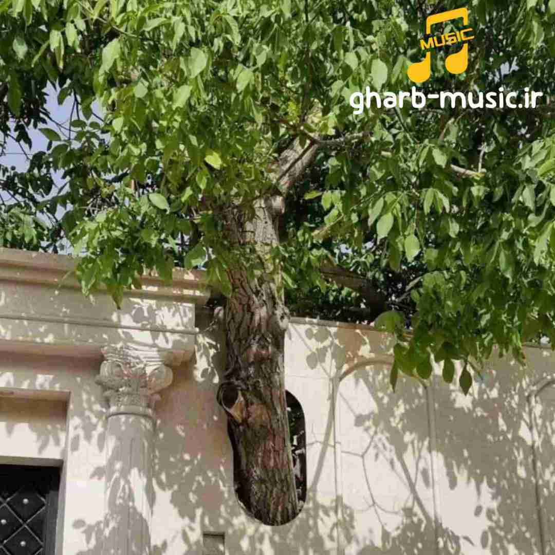 امیری فیک کنسله اسکی از رو دریک کنسله