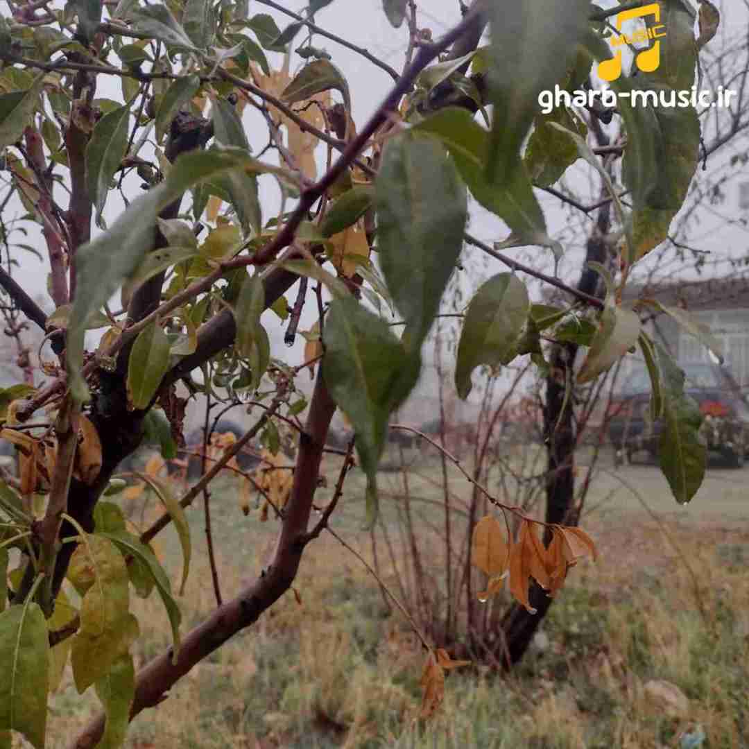ممیش خان گدیب مامانا دمه