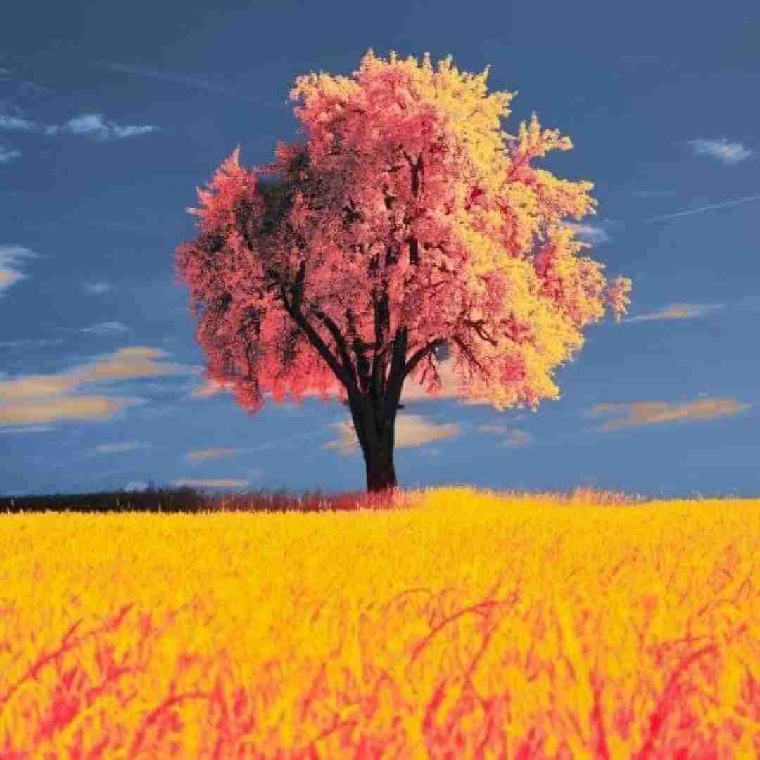 الکل اینجا ممنوعه انرژی از من بوده