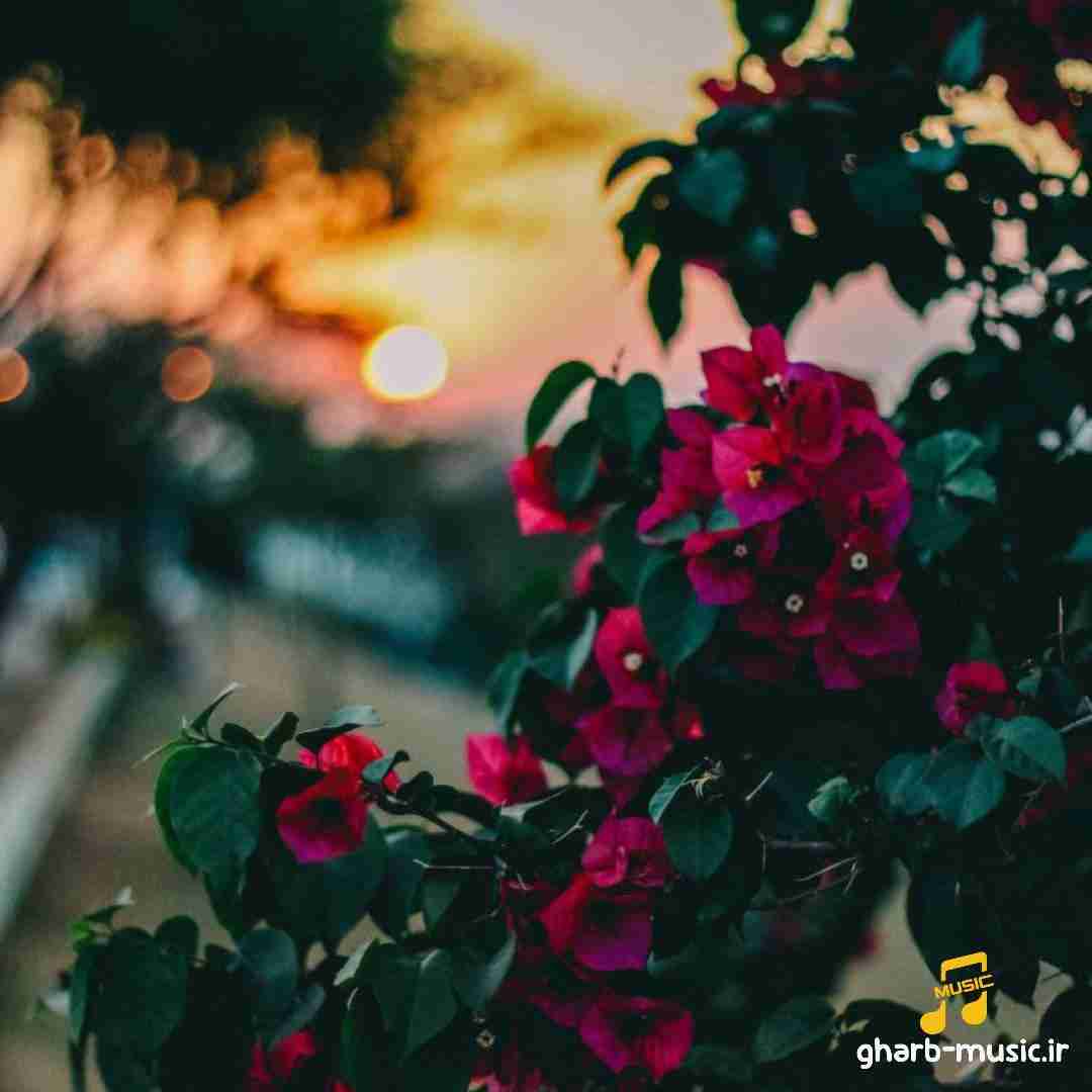 دادا خیلی لازمش دارم یکی که باهام رفیق باشه لای اشکالم