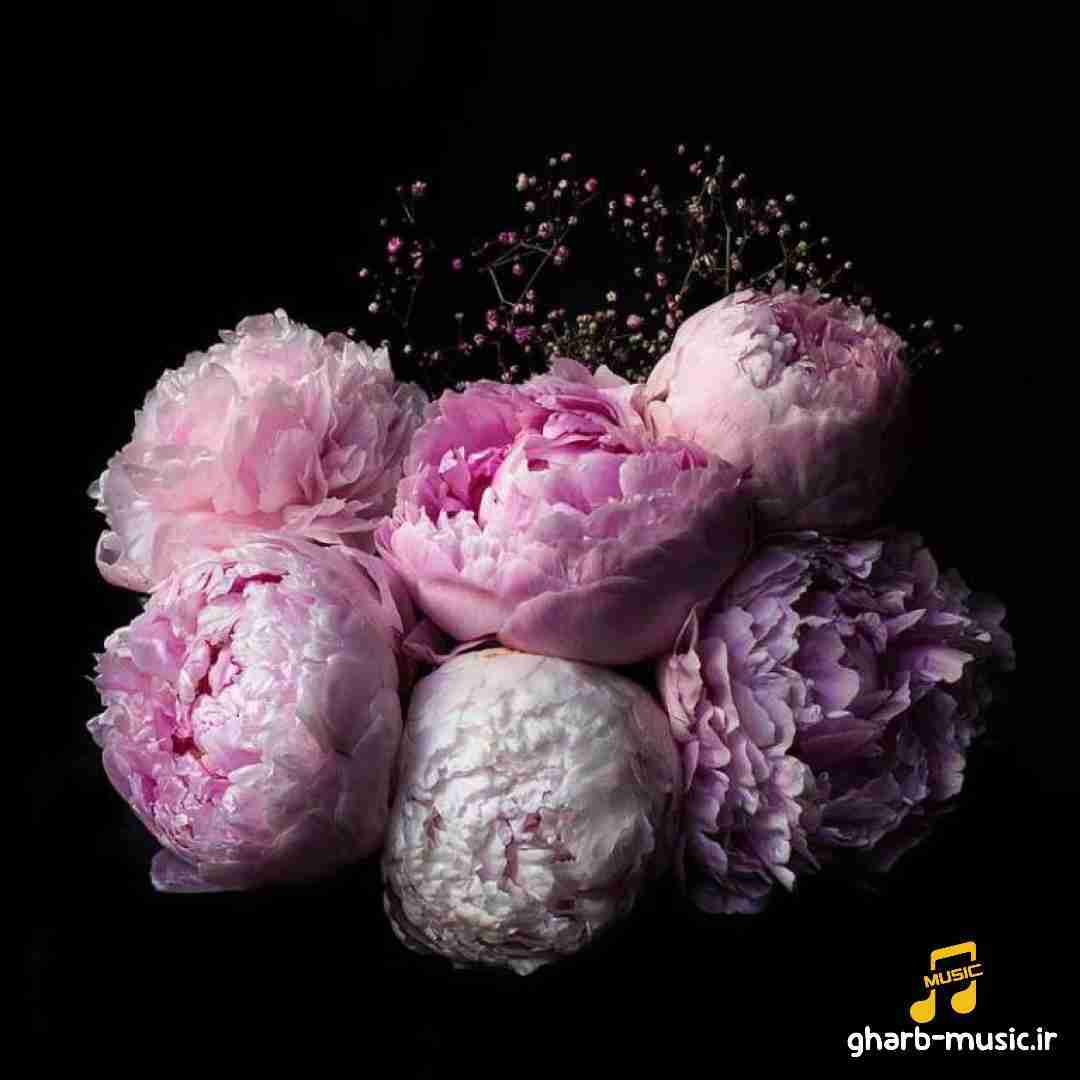 بازم این دل ساده دسته گل به آب داده