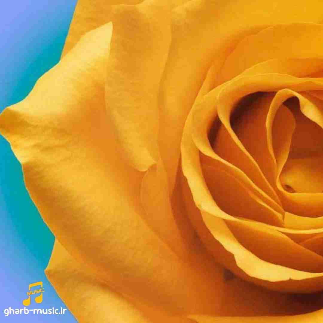  دادم کل دلمو به یکی بازم میگفت واسه من کمه