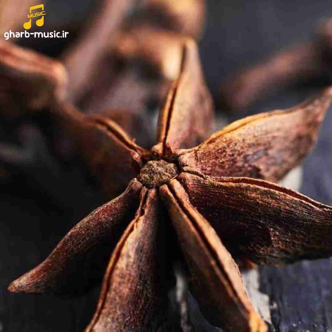 اونلار آرکادان هاولار لار لار وار وار وار