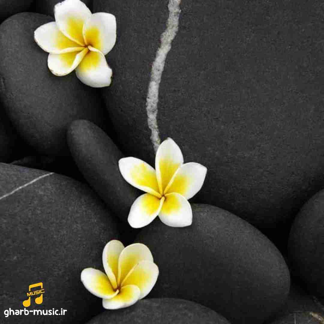  عجب جایی به داده من رسیدی