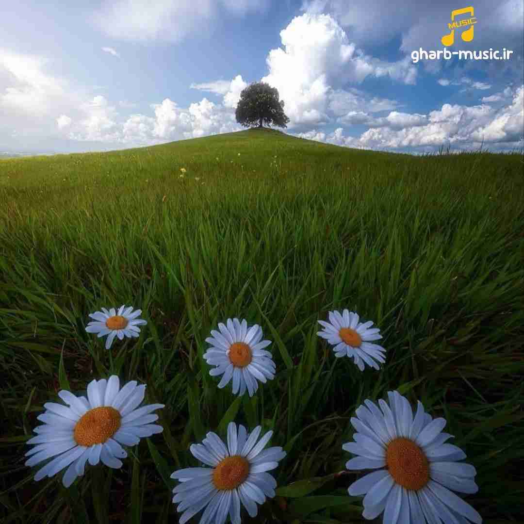 ترکا در میاد بازرگانی بچا بیزنسی بازرگانی