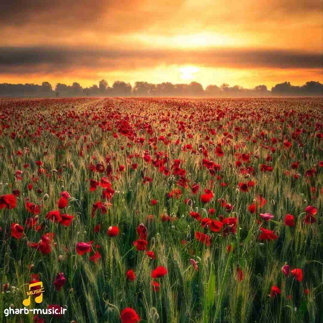  تو آه منی اشتباه منی