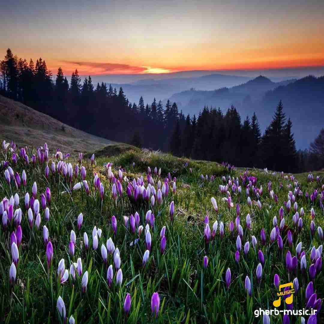  یکی بی جی ال ایکس یکی بی اس ال ایکس