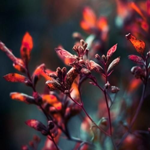 بهم خیانت کرد یه شبشو گریه کردم بعدش دوستاش