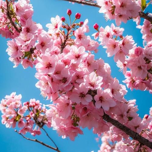  نقابتو بردار بزار تا حرف دارم بهت بگم