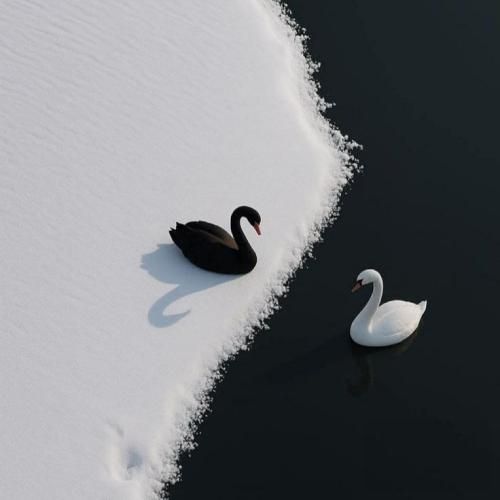 دانلود آهنگ میگن مستیو راستی نشد هرچیو خواستیم