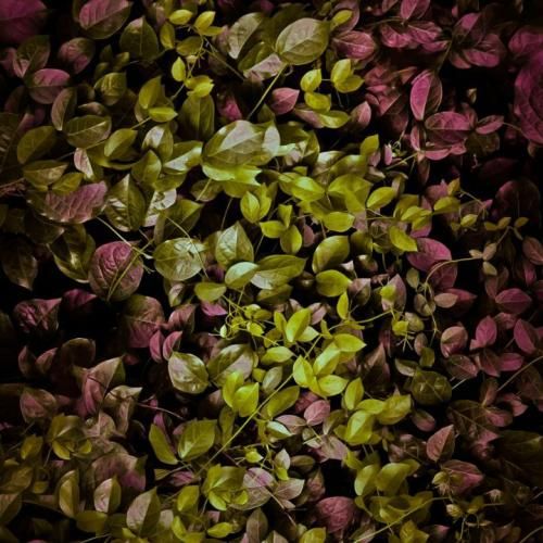 دانلود ریمیکس میگن چرا ازش خداحافظی نکردی من سر سلام