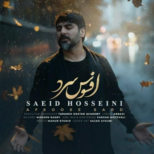 سعید حسینی افسوس سرد