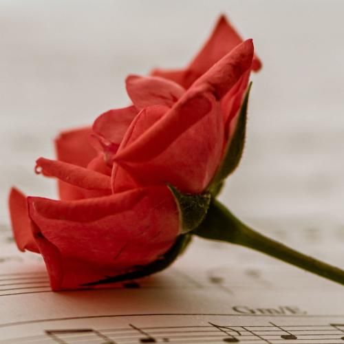 عشقو وفاداری رو از بابام یادم گرفتم