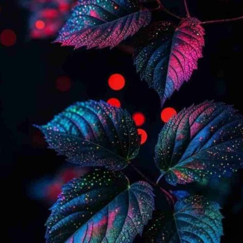 دانلود ریمیکس دل بسته شدم ای وای بی دلیل همه چی دلگیر شده