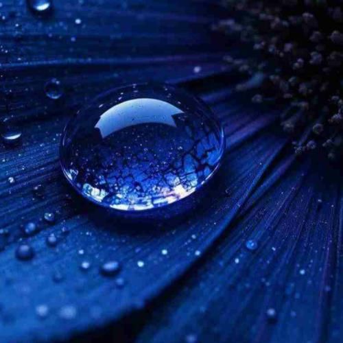 دانلود ریمیکس قلب از جا کنده حاجی با این جای خالی منو راحت بزارید