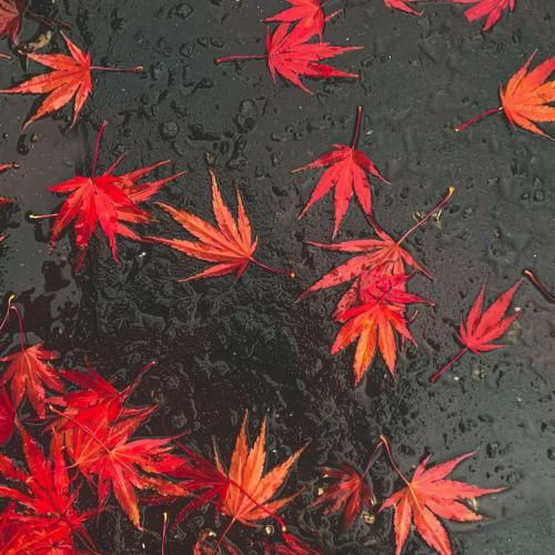 یا حقمو پس میگیرم به مادرم بگید دارم به