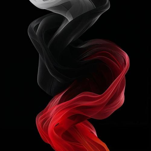  میکنم سیپین یادمم نرفت هیچیش