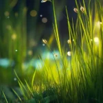 فدای اون بینی زیبای عملیت (ترند اینستا)