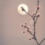 دانلود ریمیکس جدید بیبی شب تا صبح همه چشا شهلا بیبی (میکس اینستا)