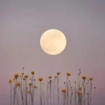 دانلود ریمیکس جدید منم میشم یکی مثل تو همونجوری که بروز نمیدادی
