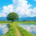 دانلود ریمیکس جدید ولم کردی بهت نیاز داشتم خسته شدم (میکس اینستا)