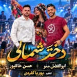 دانلود آهنگ جدید دختر شمالی از ابوالفضل متو