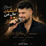 دانلود آهنگ جدید پرواز از مجتبی زمانی