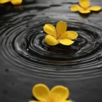 دانلود آهنگ جدید مریم هوا خواتم مریض چشماتم (هوش مصنوعی)
