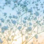 دانلود آهنگ جدید دختر مهر ماهی خوشگل آریایی (ترند اینستا)