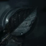 دانلود آهنگ جدید انگار به فکر آب و نان است هنوز (هوش مصنوعی)