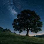 دانلود آهنگ جدید سرم بازار مسگرهاست دلم در چنگ بربرهاست (هوش مصنوعی)